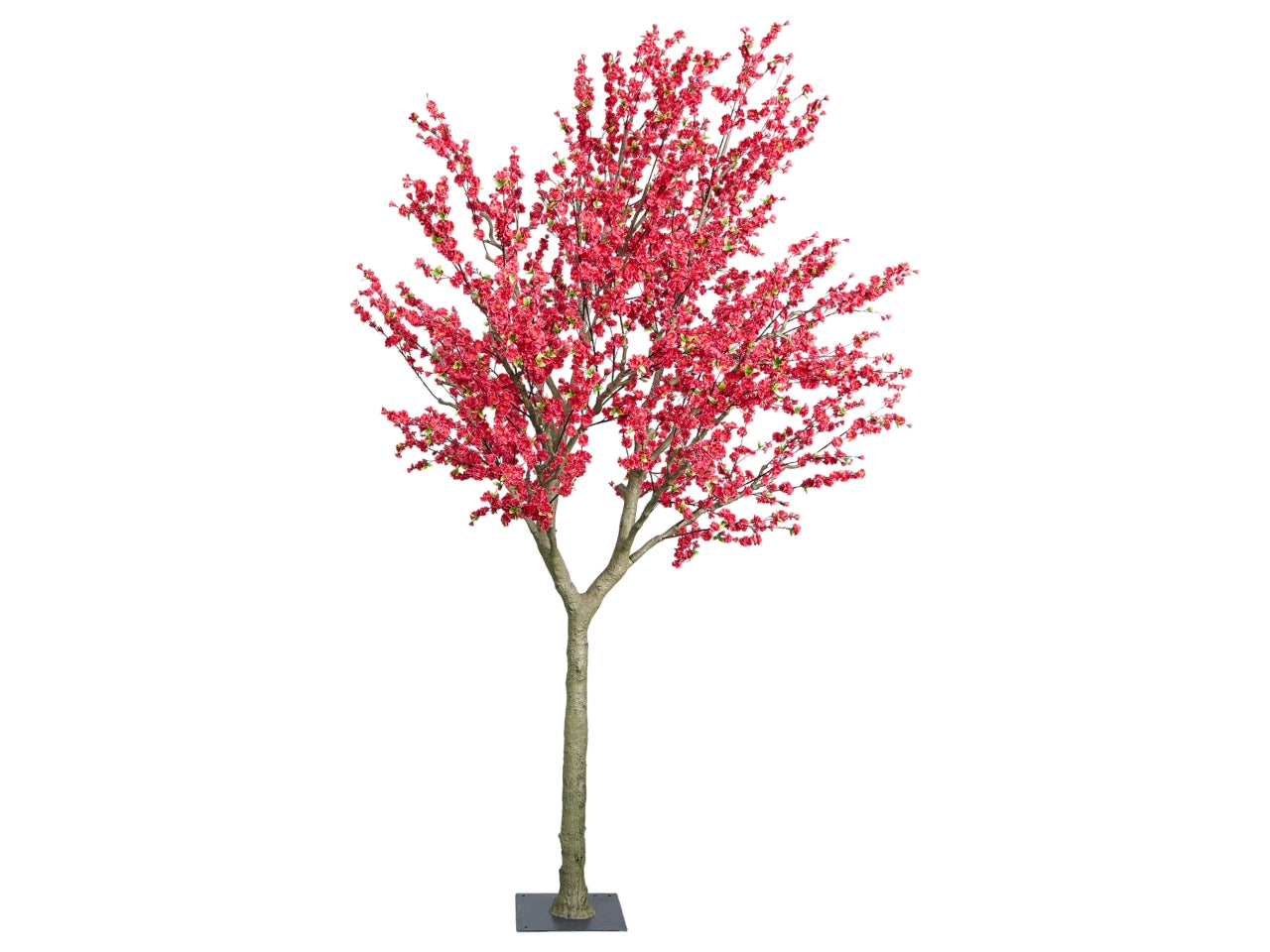 Albero di pesco colore rosa misura h.360cm