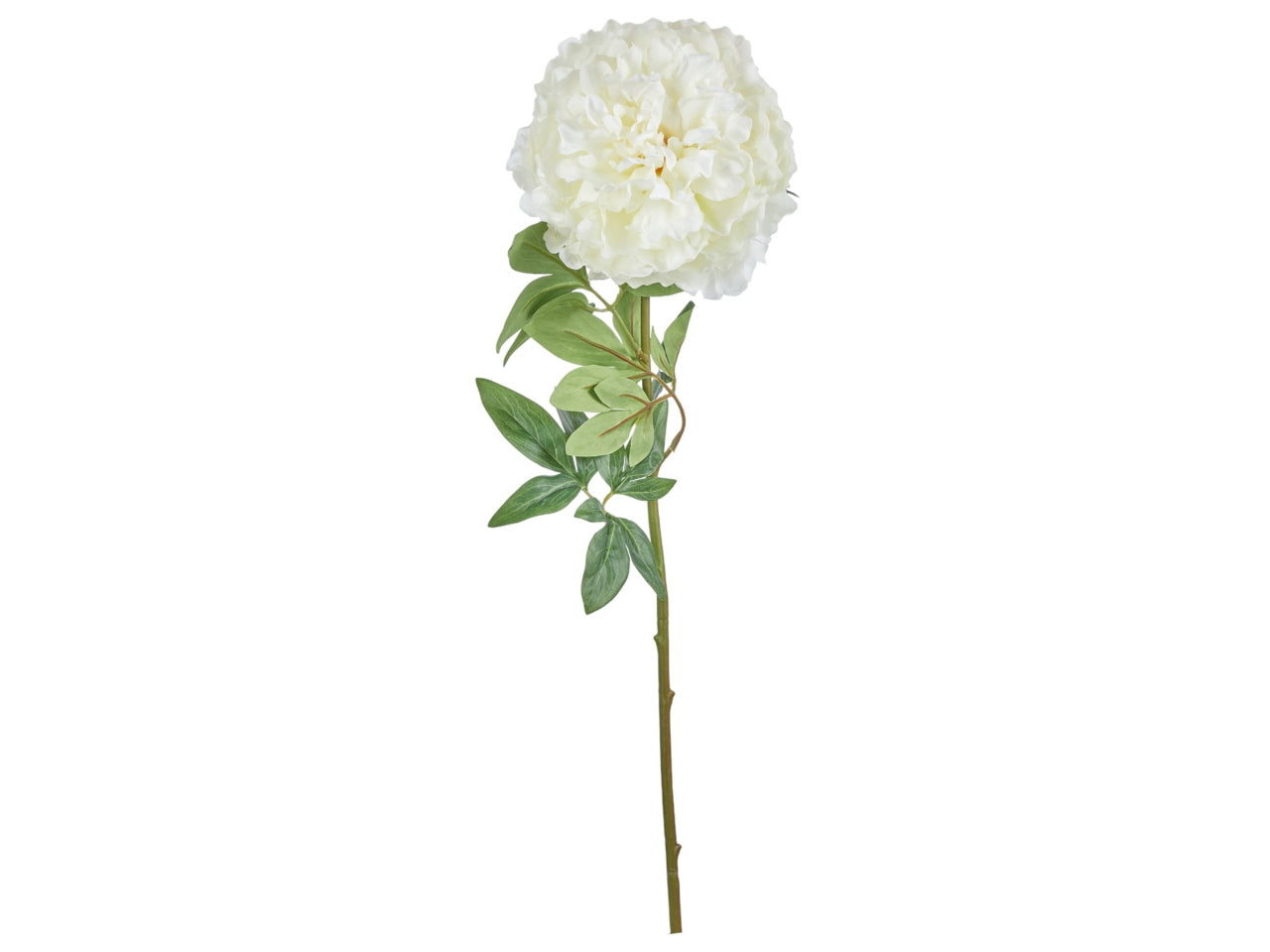 Peonia bianca artificiale con stelo flessibile, foglie e fiore in tessuto  70 cm - Arpimex