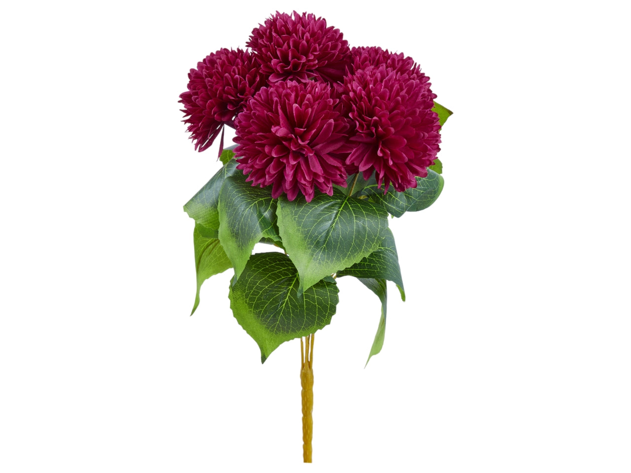 Mazzo di dalie x 6 misura h.45cm colore beauty