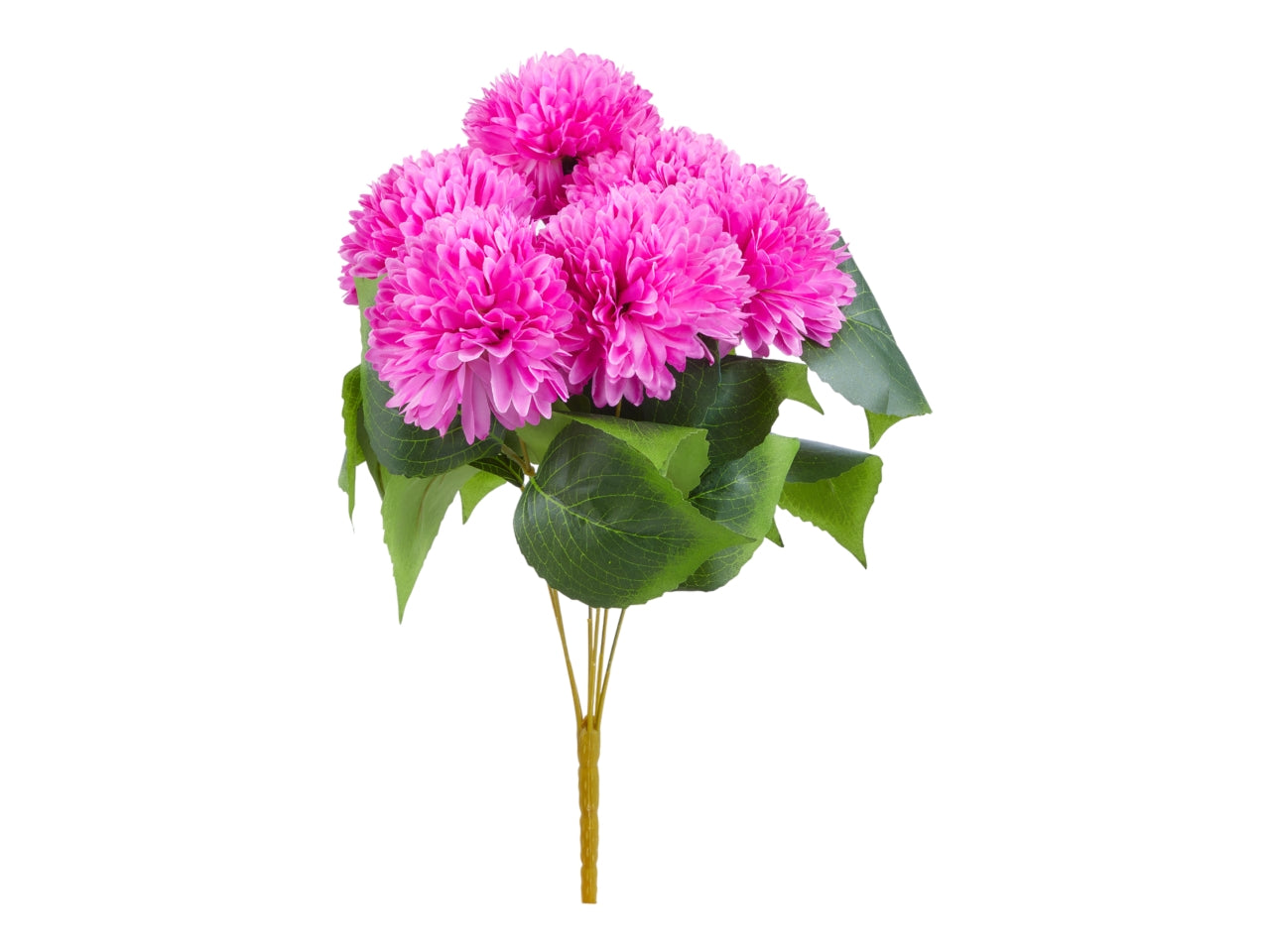 Mazzo di dalie x 6 misura h.45cm colore fucsia
