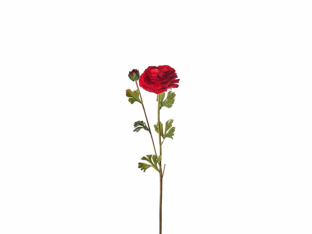 Fiore di ranuncolo colore rosso x 2