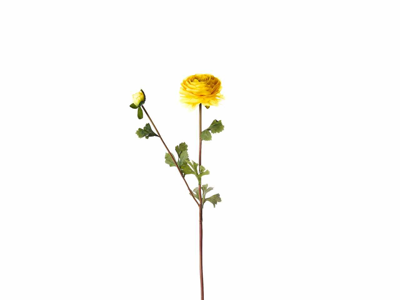 Fiore di ranuncolo colore giallo x 2