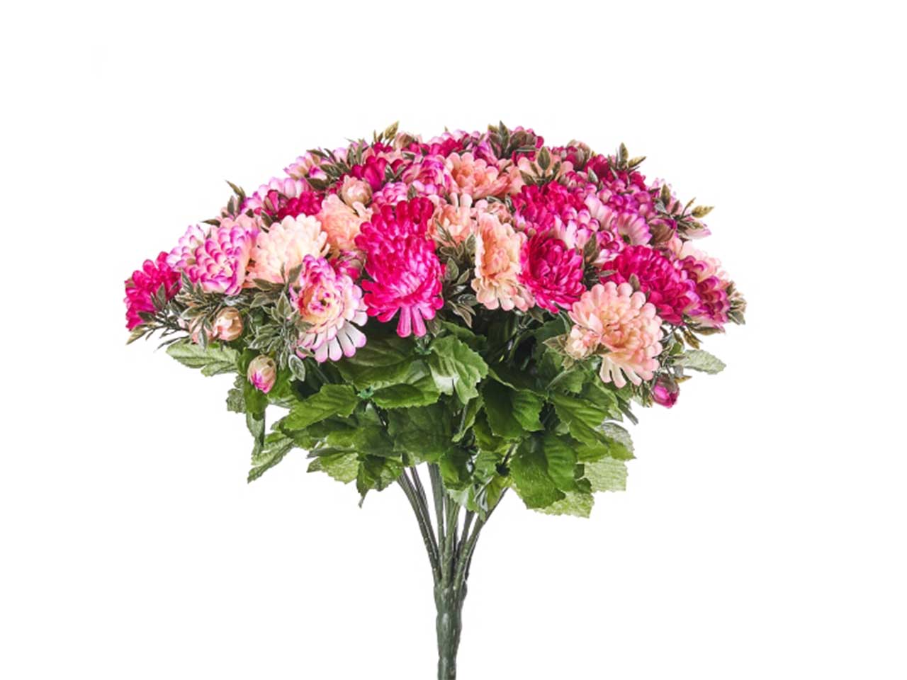 Mazzo di crisantemi x 40 colore rosa