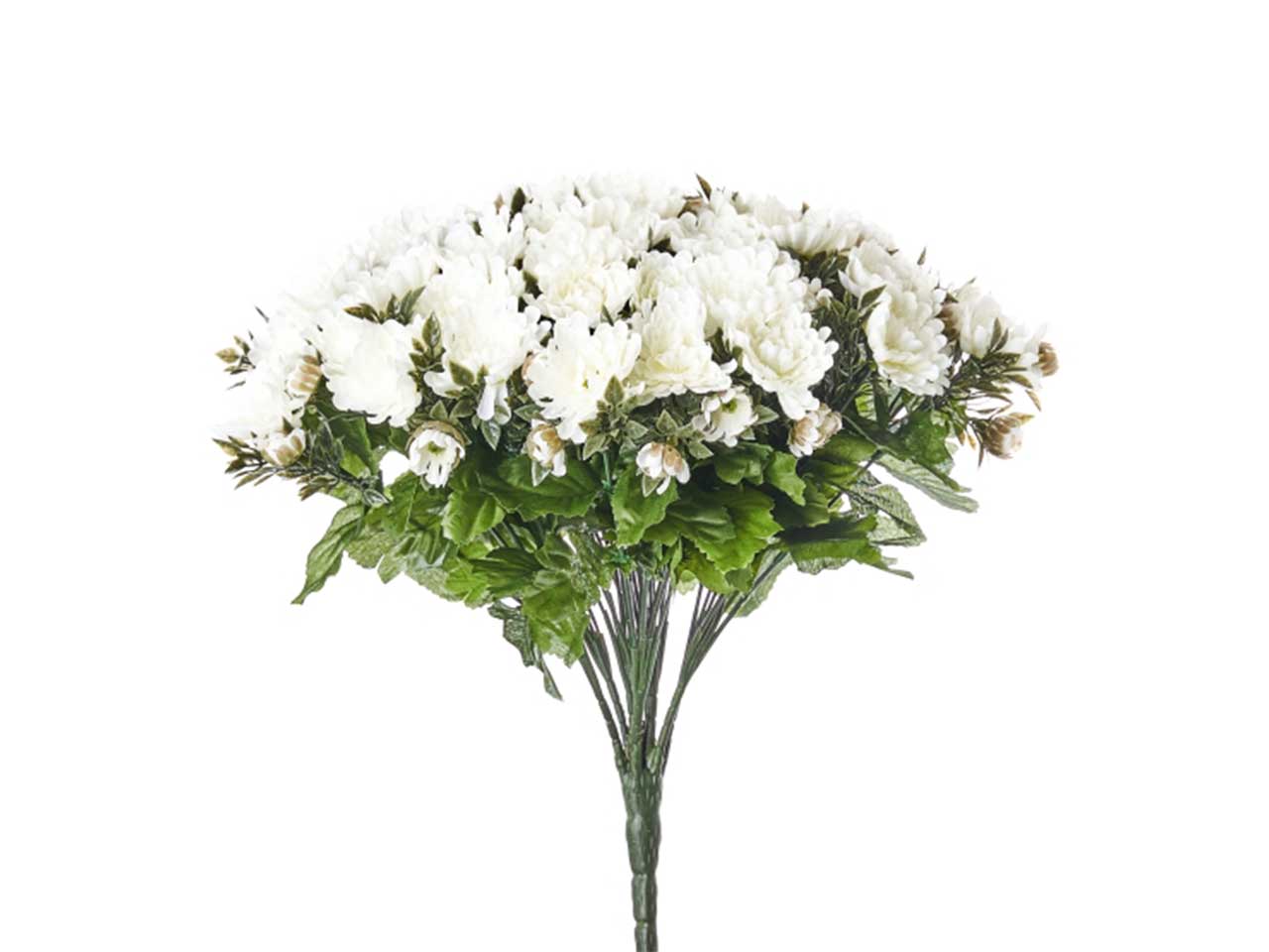 Mazzo di crisantemi x 40 colore bianco