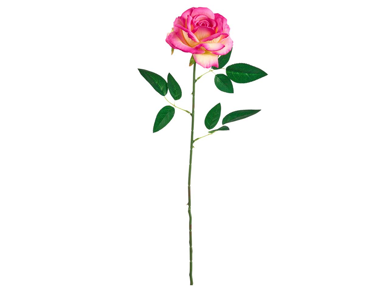 Rosa artificiale sfumata rosa in tessuto a stelo lungo con foglie, 60 cm - Arpimex