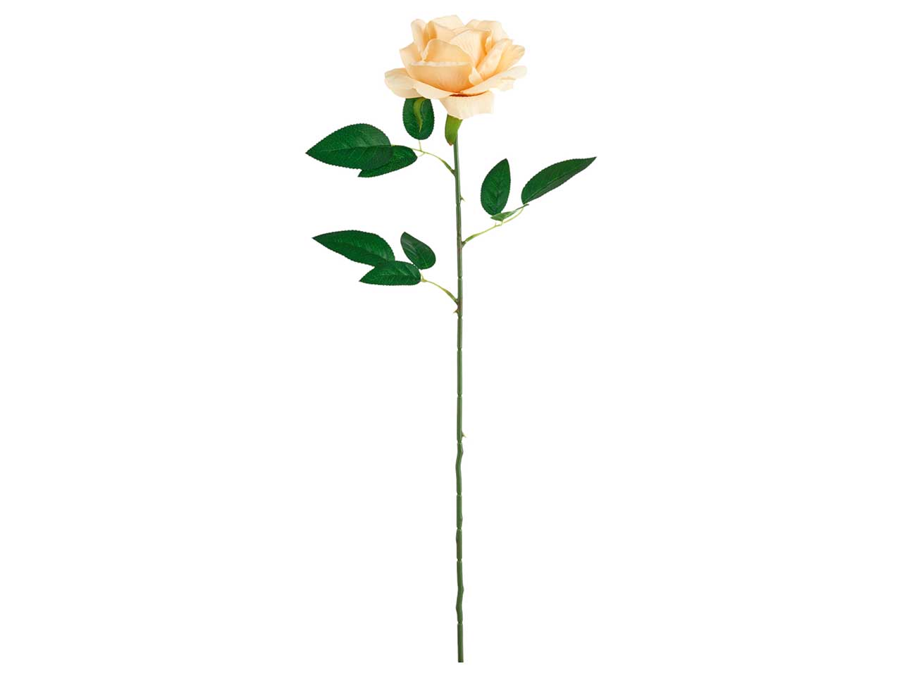 Rosa artificiale avorio in tessuto a stelo lungo con foglie, 60 cm - Arpimex