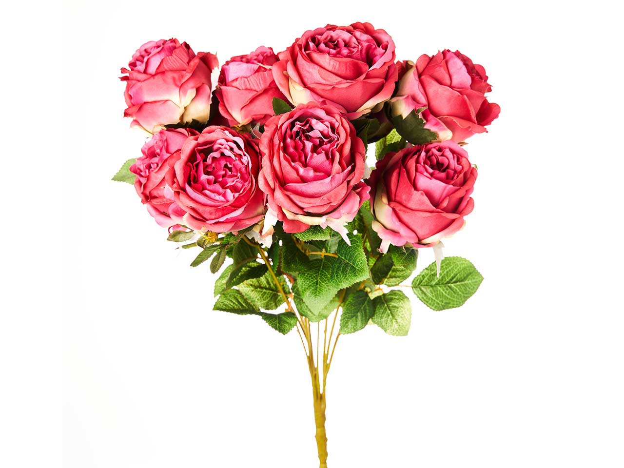 Mazzo di rosa cabbage x 10 colore mauve