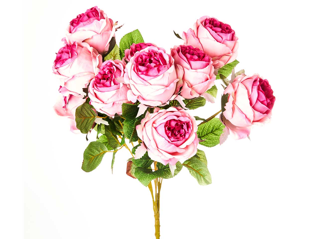 Mazzo di rosa cabbage x 10 colore rosa sfumato