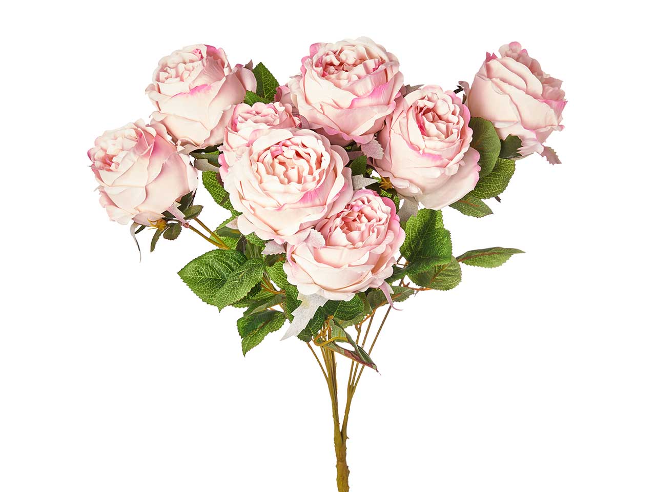 Mazzo di rosa cabbage x 10 colore rosa chiaro