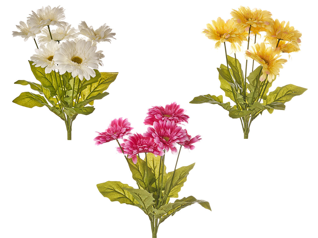 Mazzo di gerbere x 7 misura h.50cm assortito