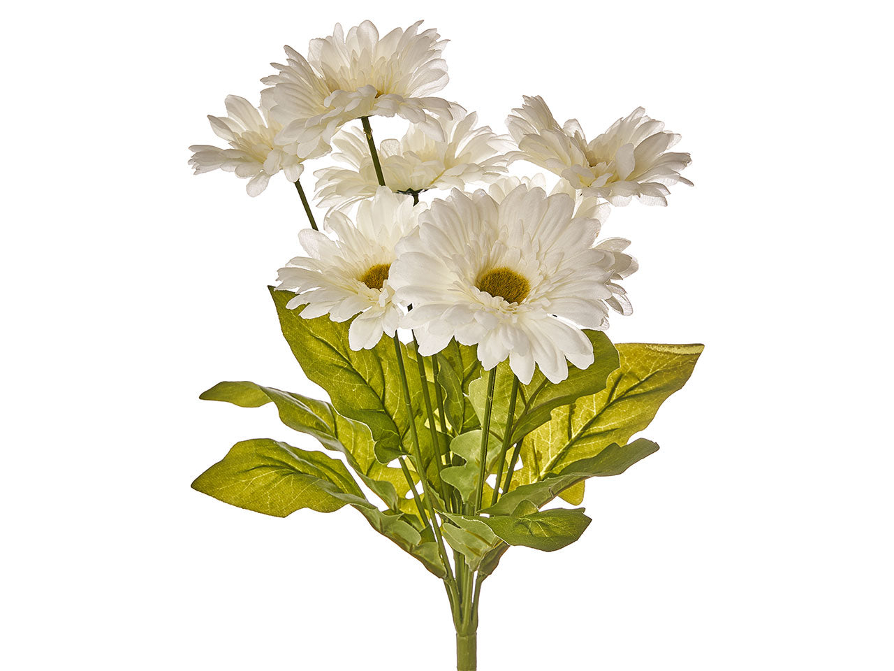 Mazzo di gerbere x 7 misura h.50cm assortito