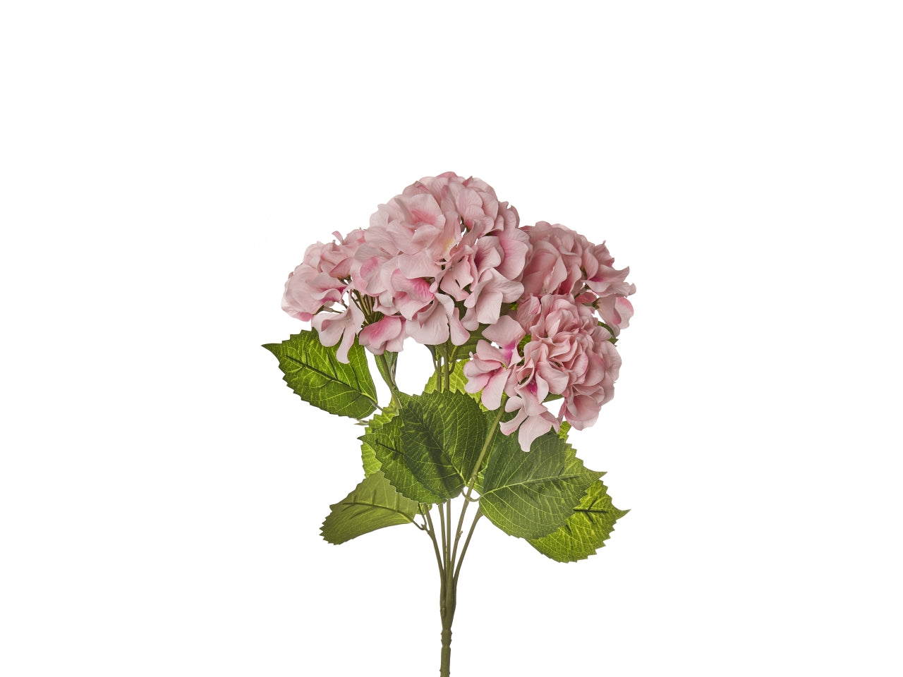 Mazzo di ortensie x 5 misura h.50cm colore rosa