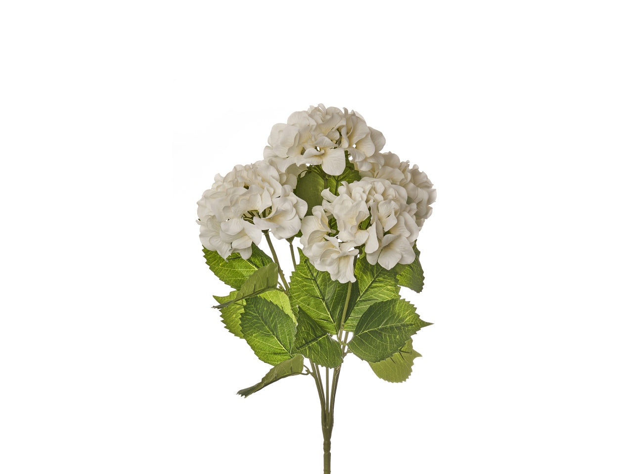 Mazzo di ortensie x 5 misura h.50cm colore bianco