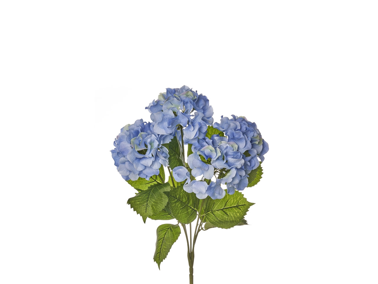 Mazzo di ortensie x 5 misura h.50cm colore blu