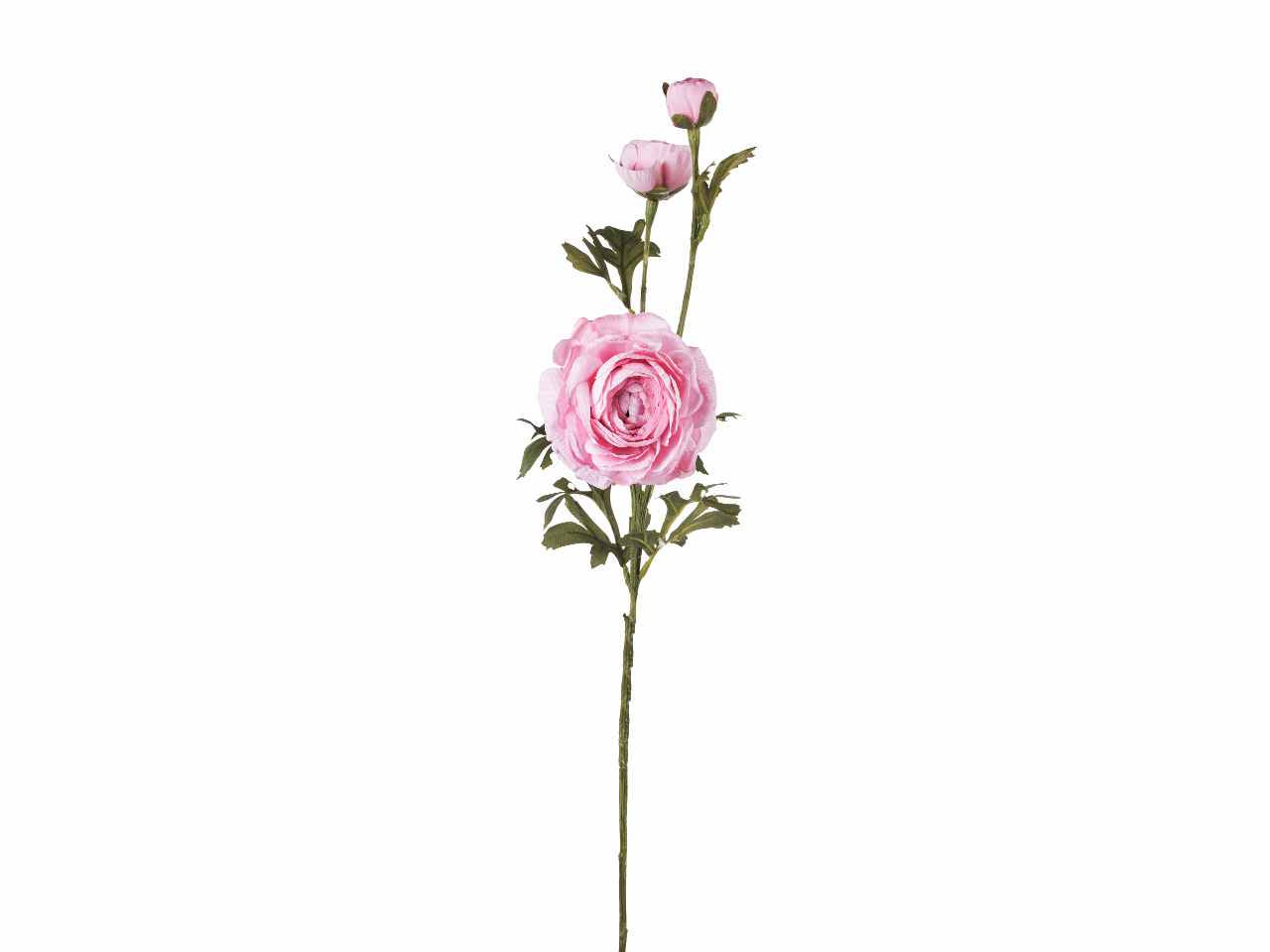 Ranuncolo x3 72cm rosa a26500