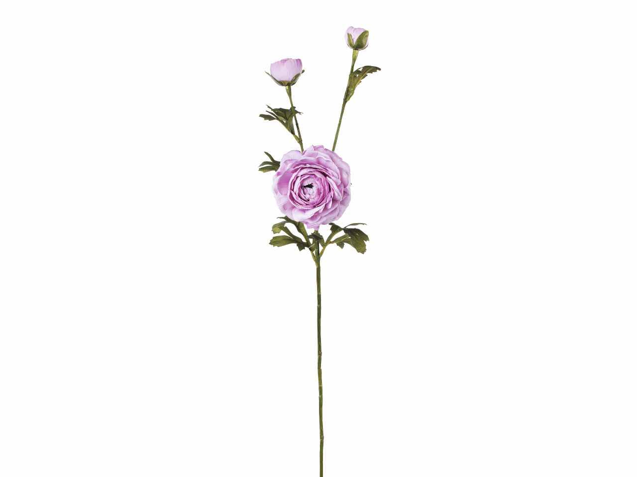 Ranuncolo x3 72cm lavanda a26500