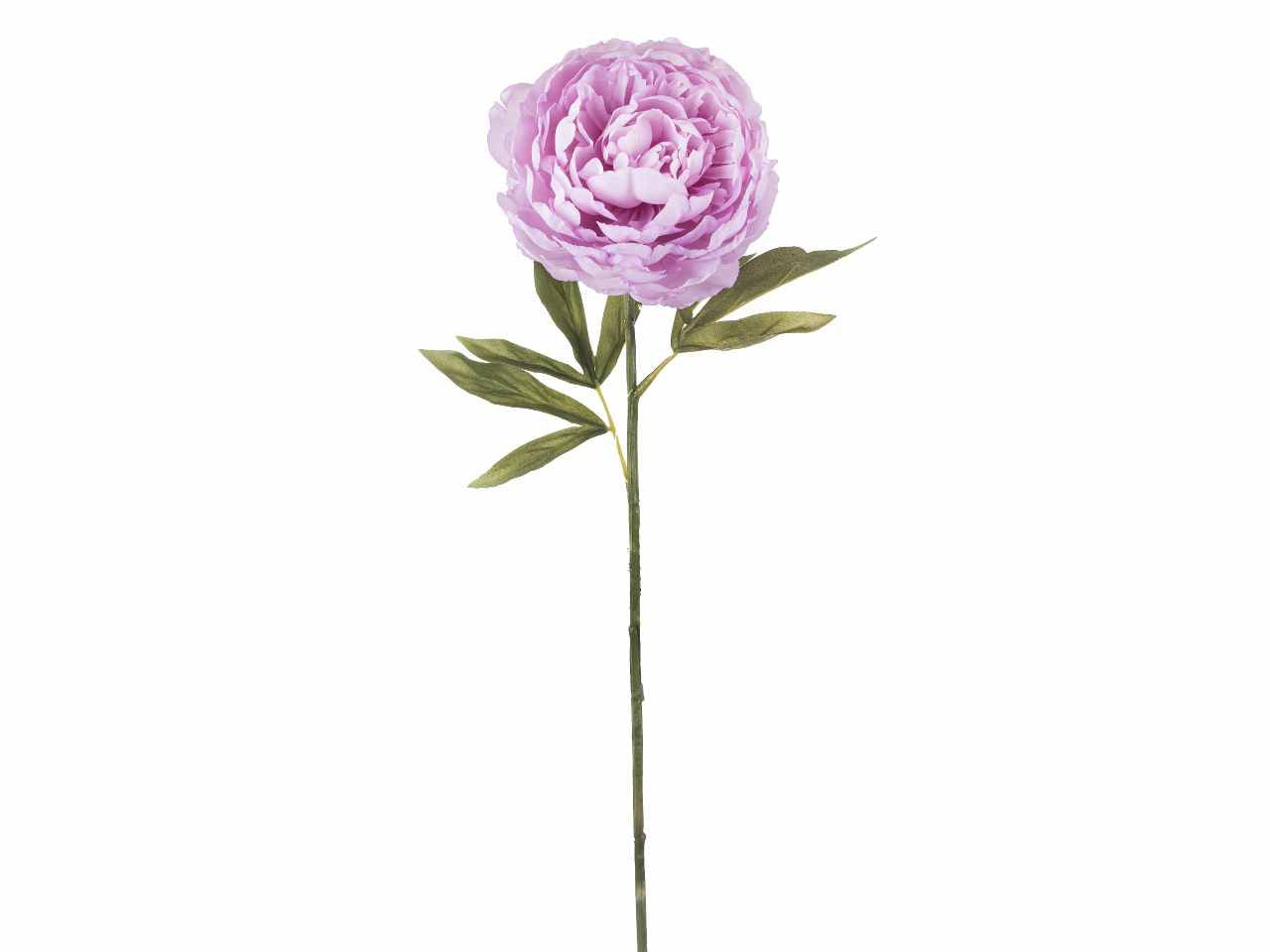 Peonia singola 64cm lavanda a26499