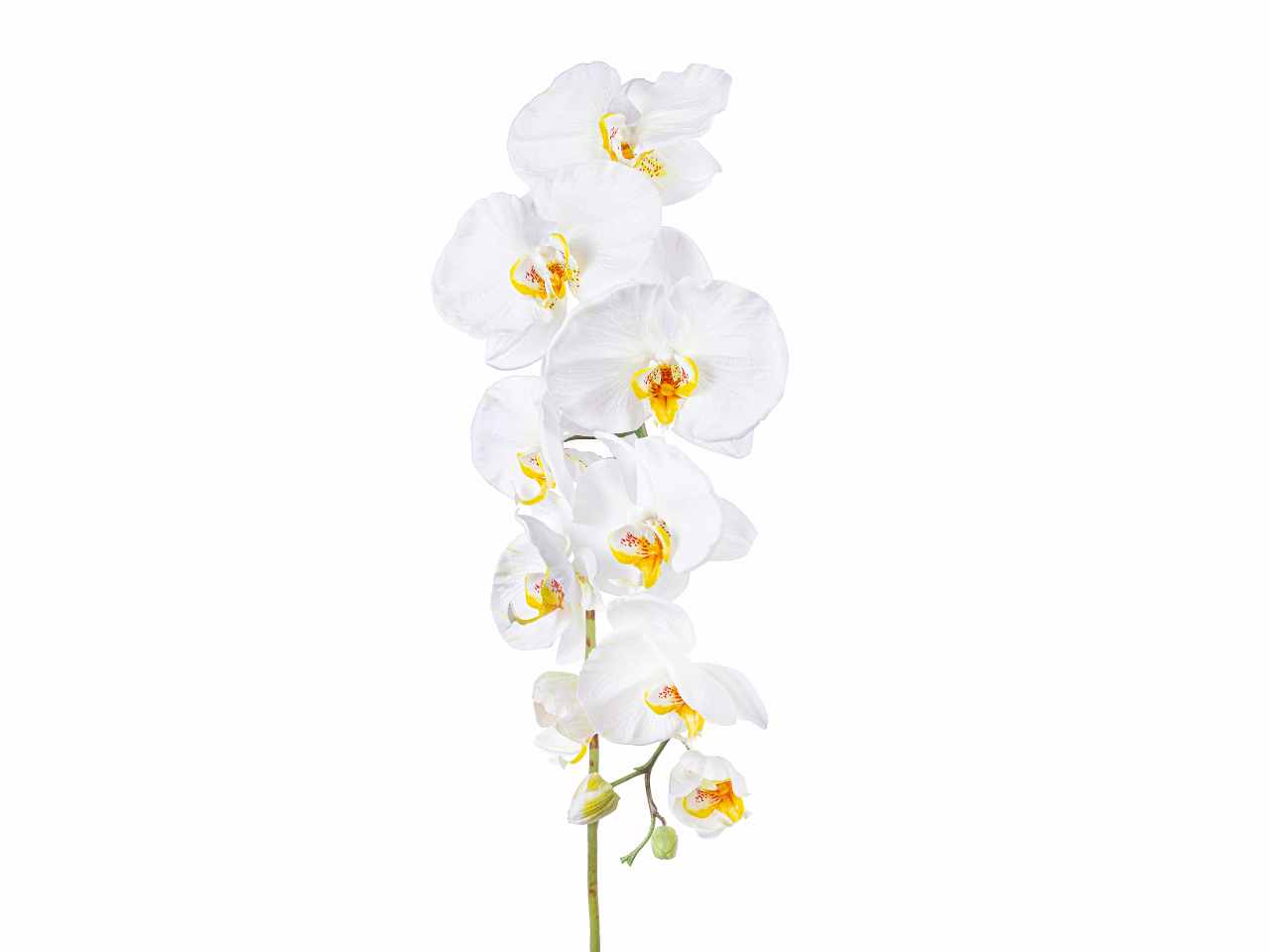 Orchidea 96cm bianca/gialla a26516