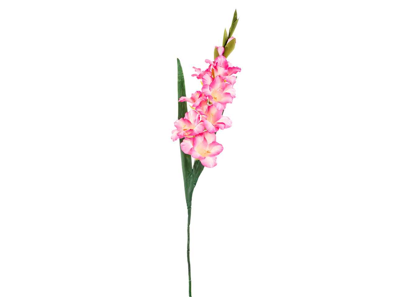 Gladiolo 90cm rosa a27330
