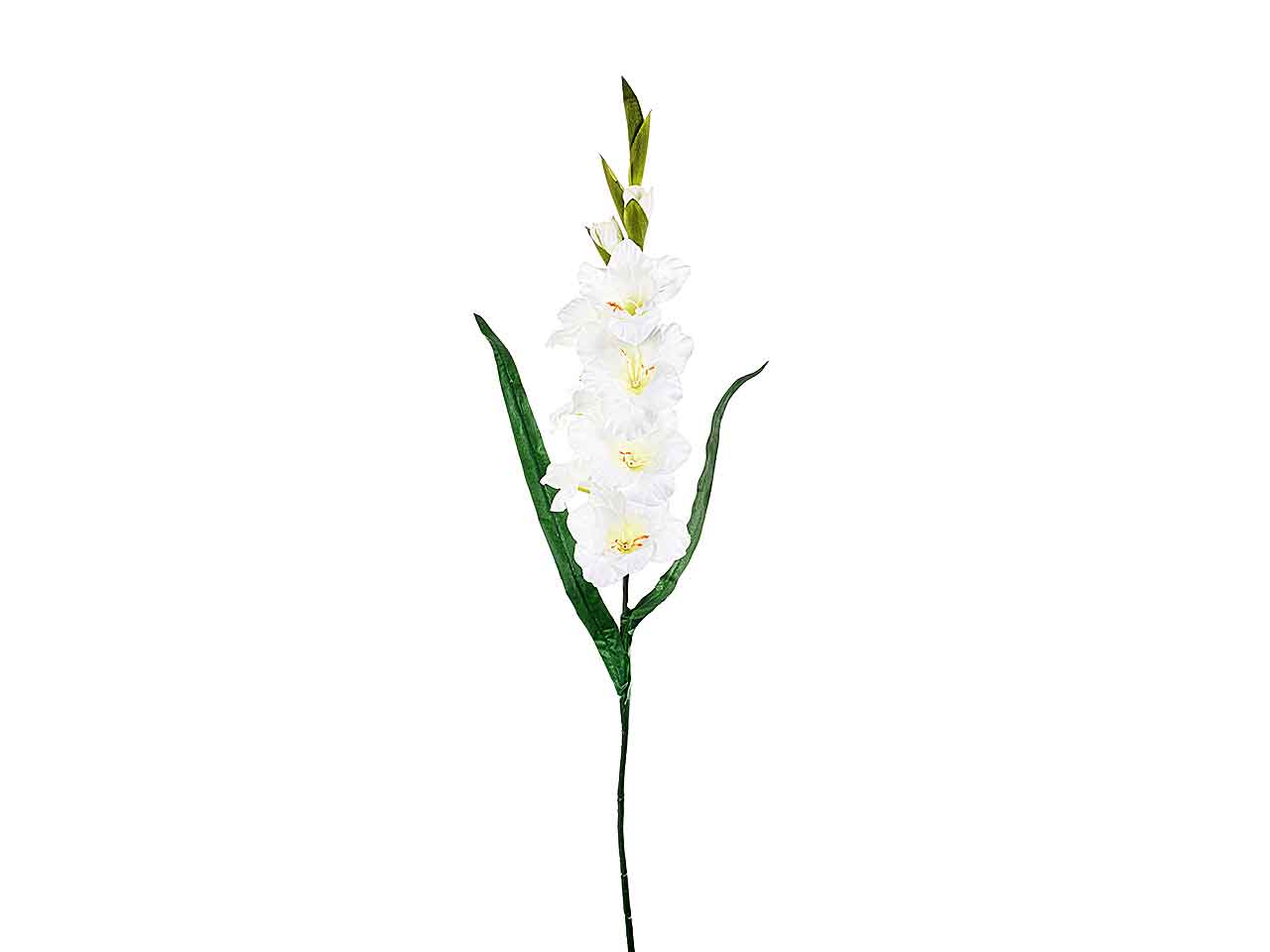 Gladiolo 90cm crema a27330