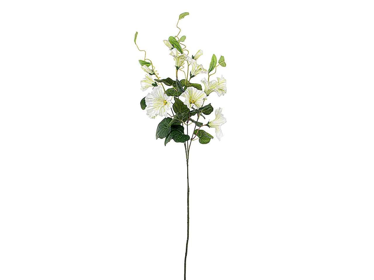 Tralcio di petunia 90cm crema a26431