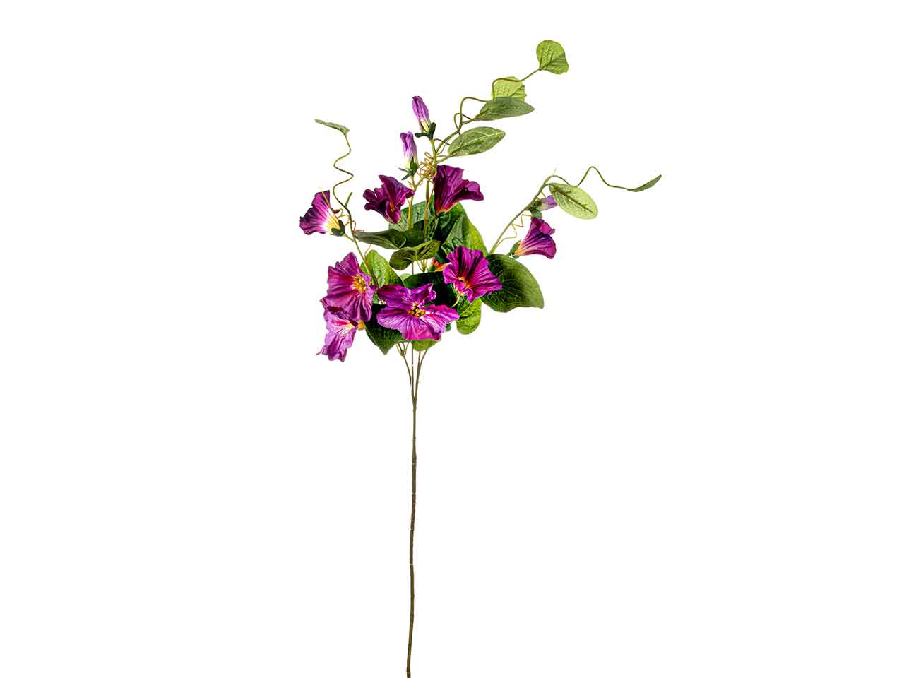 Tralcio di petunia 90cm viola a26431