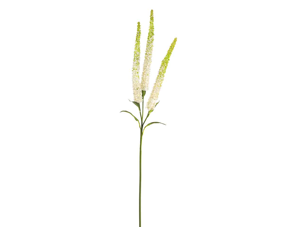Amaranthus x3 108cm bianco a26301
