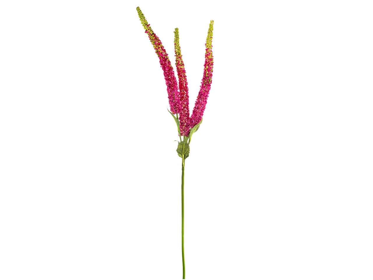 Amaranthus x3 108cm fucsia a26301