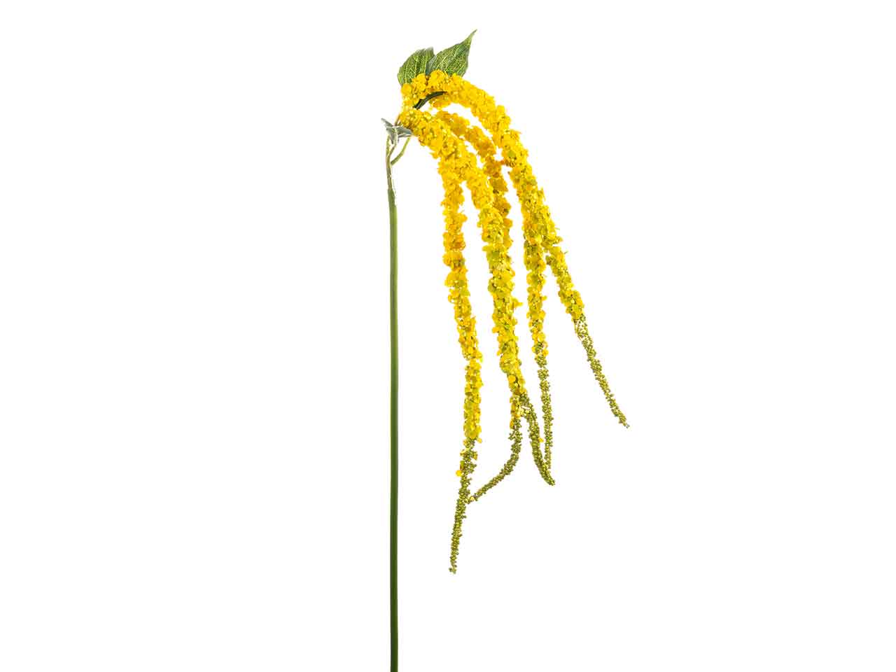 Amaranthus x5 96cm giallo a26302