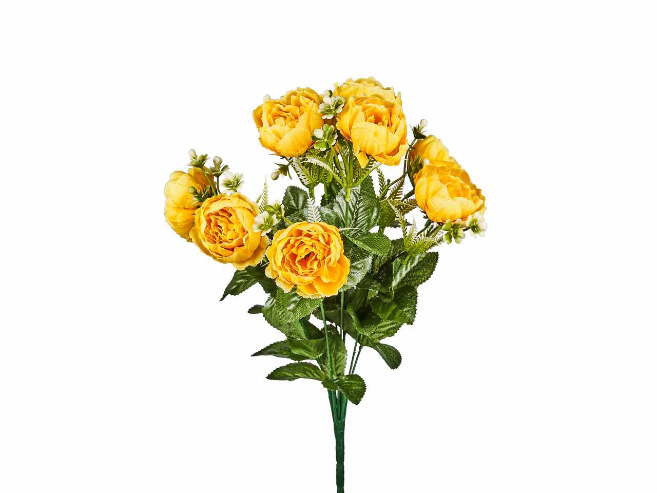 Mazzo di peonia x 10 colore giallo