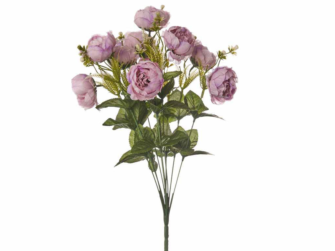 Mazzo di peonia x 10 colore lavanda