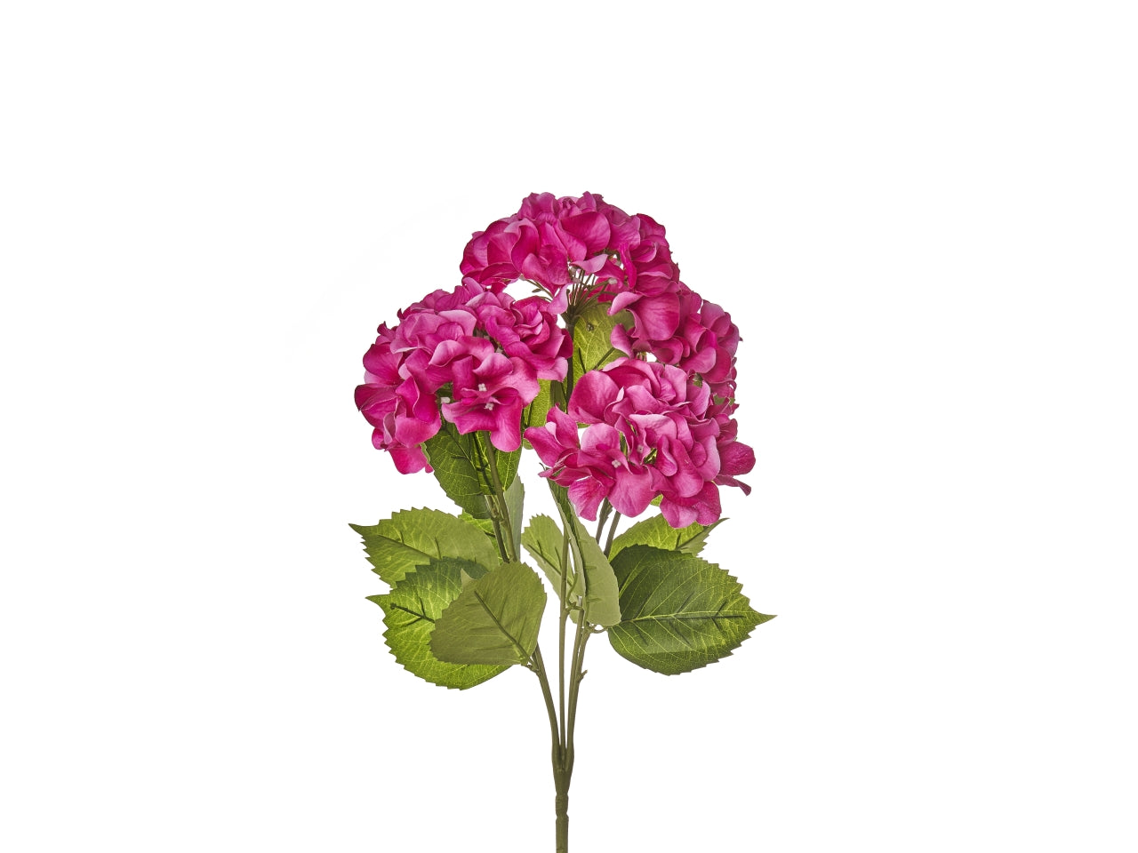 Mazzo di ortensie x 5 misura h.50cm colore beauty