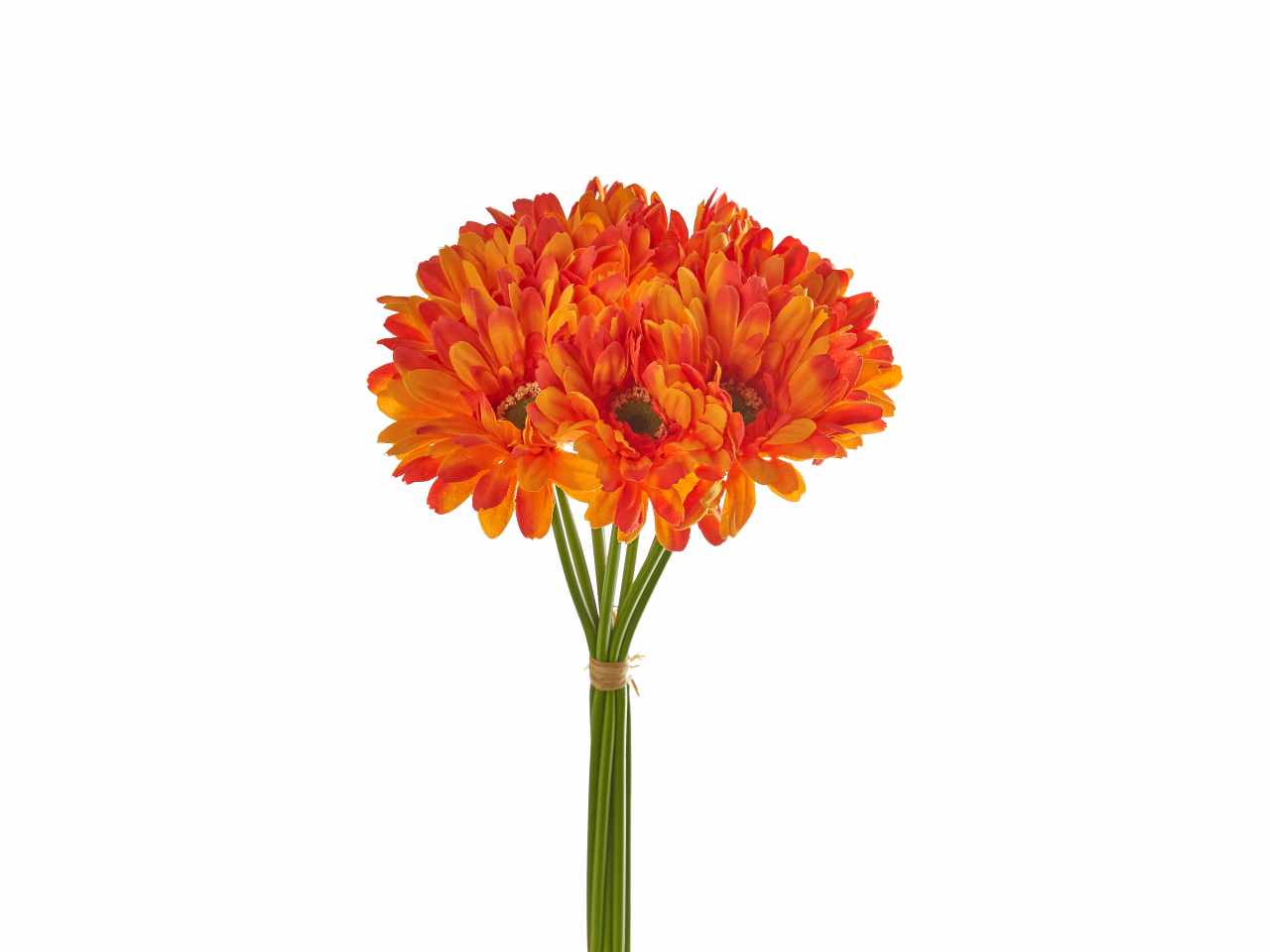 Bouquet di 9 gerbere colore arancione