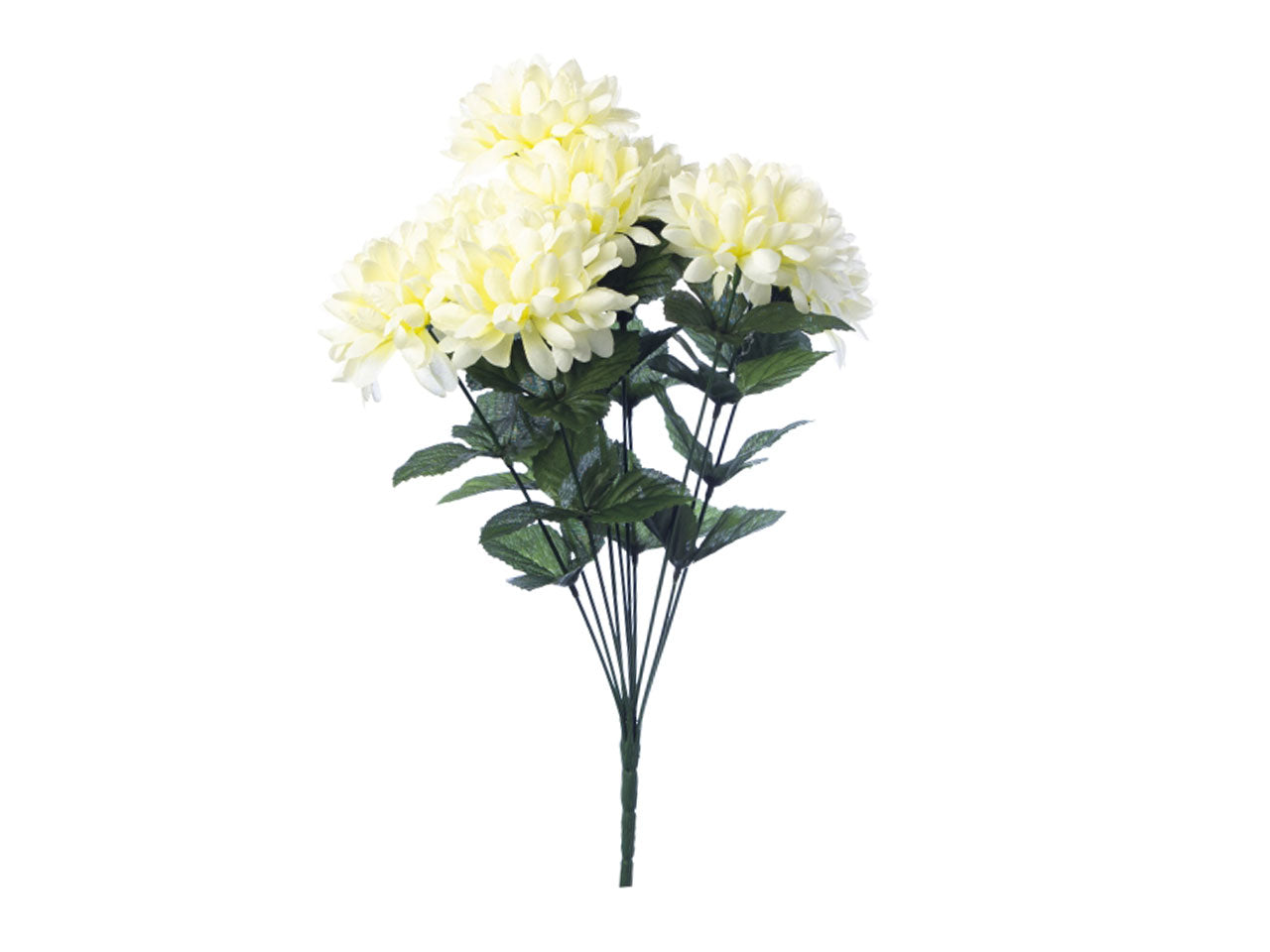 Mazzo crisantemi x 10 misura h.45cm colore crema
