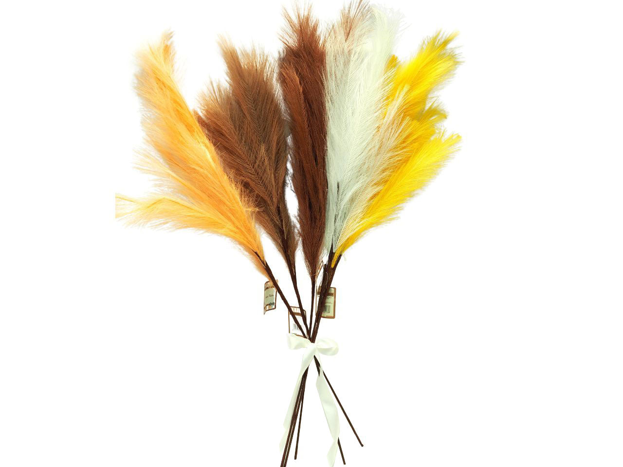 Ramo piuma h.100cm colori assortiti