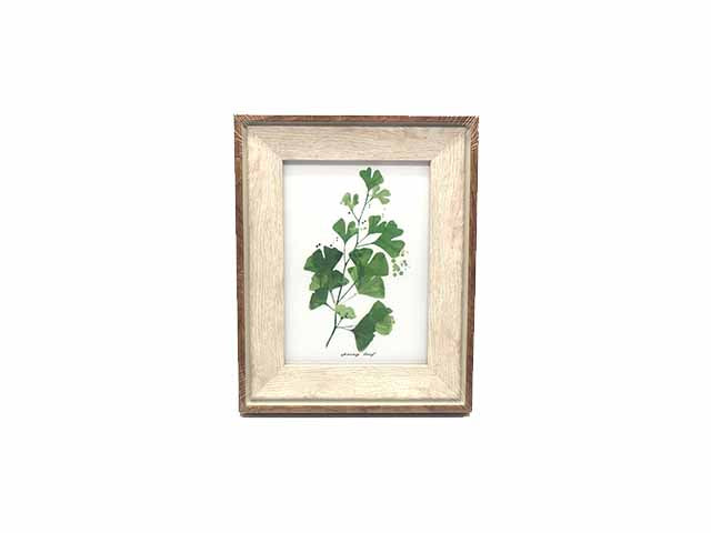 Cornice con disegno foglia 24,3x19,3cm
