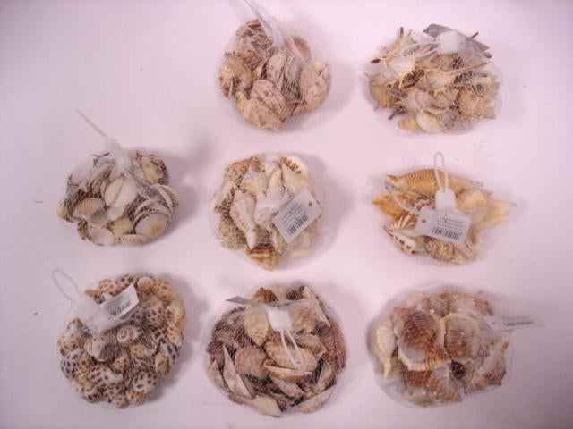 Conchiglie con rete 6 assortimenti 100-150gr
