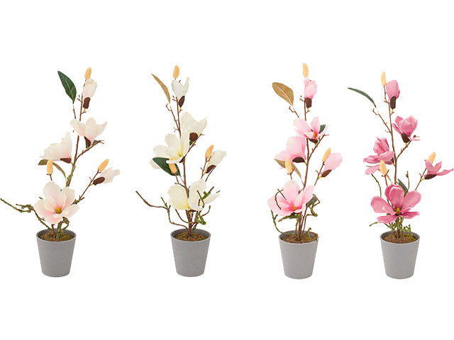 Vaso con magnolia 11x53cm 59008