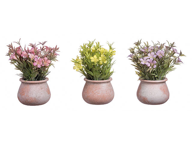 Piantina fiori con vaso 11xh22cm 66059