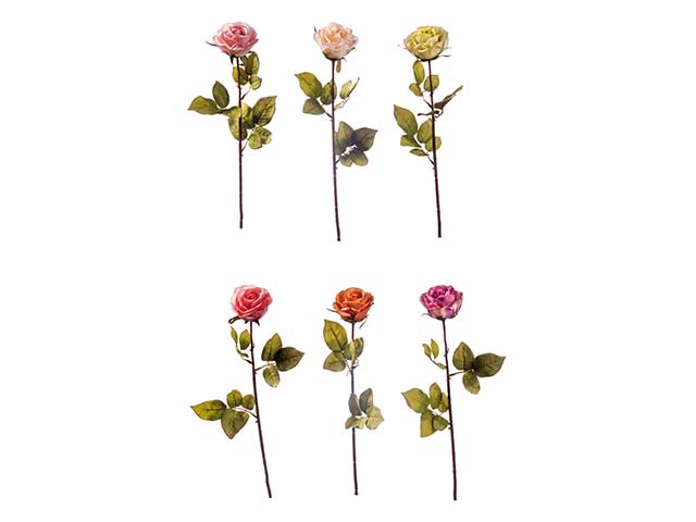 Rosa 67cm ass. 67373