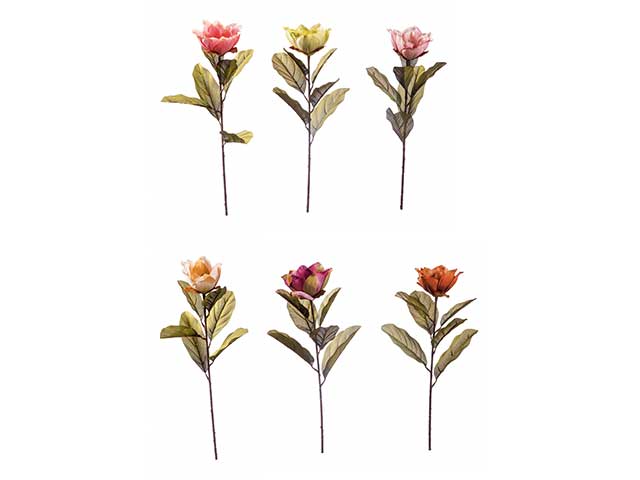 Magnolia 68cm ass.67385