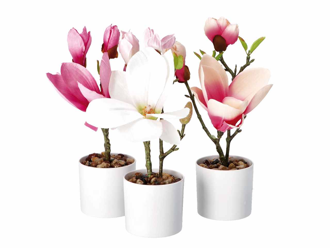Vaso c/magnolie d8,5xh30cm 74886