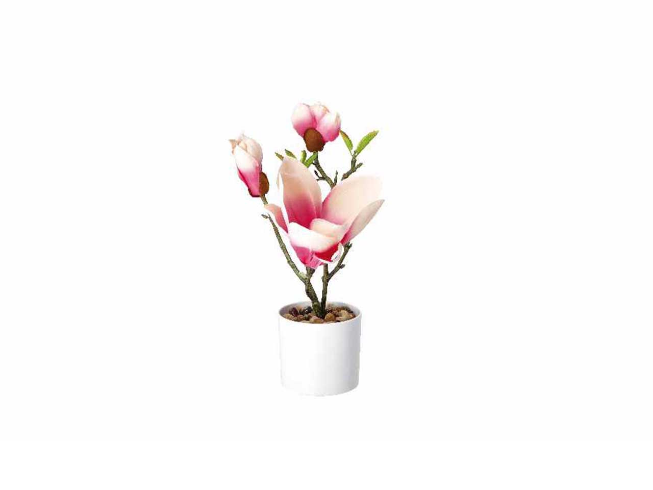 Vaso c/magnolie d8,5xh30cm 74886
