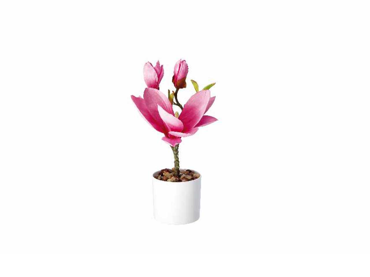 Vaso c/magnolie d8,5xh30cm 74886