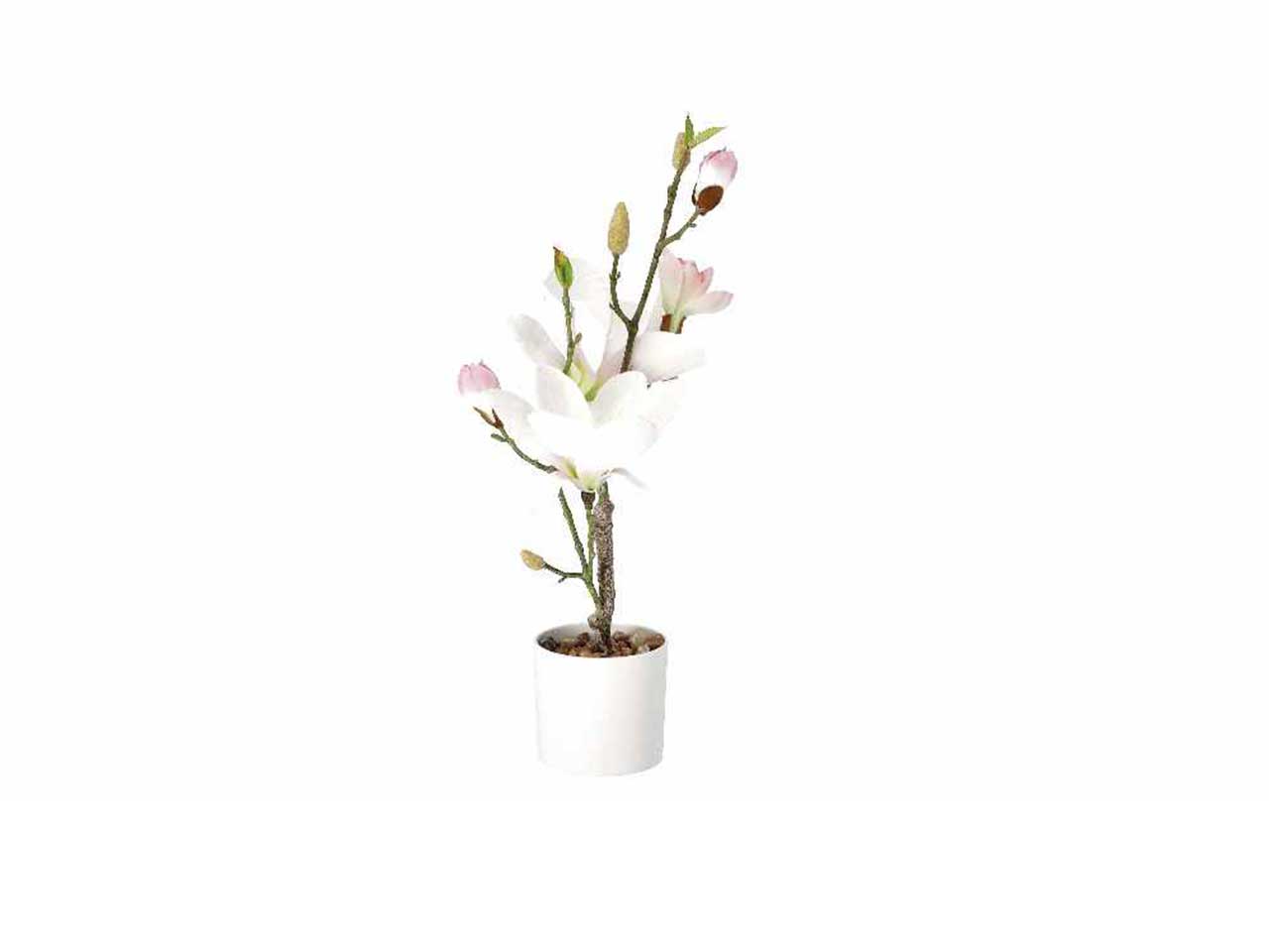 Vaso c/magnolie d.10xh46cm 74887