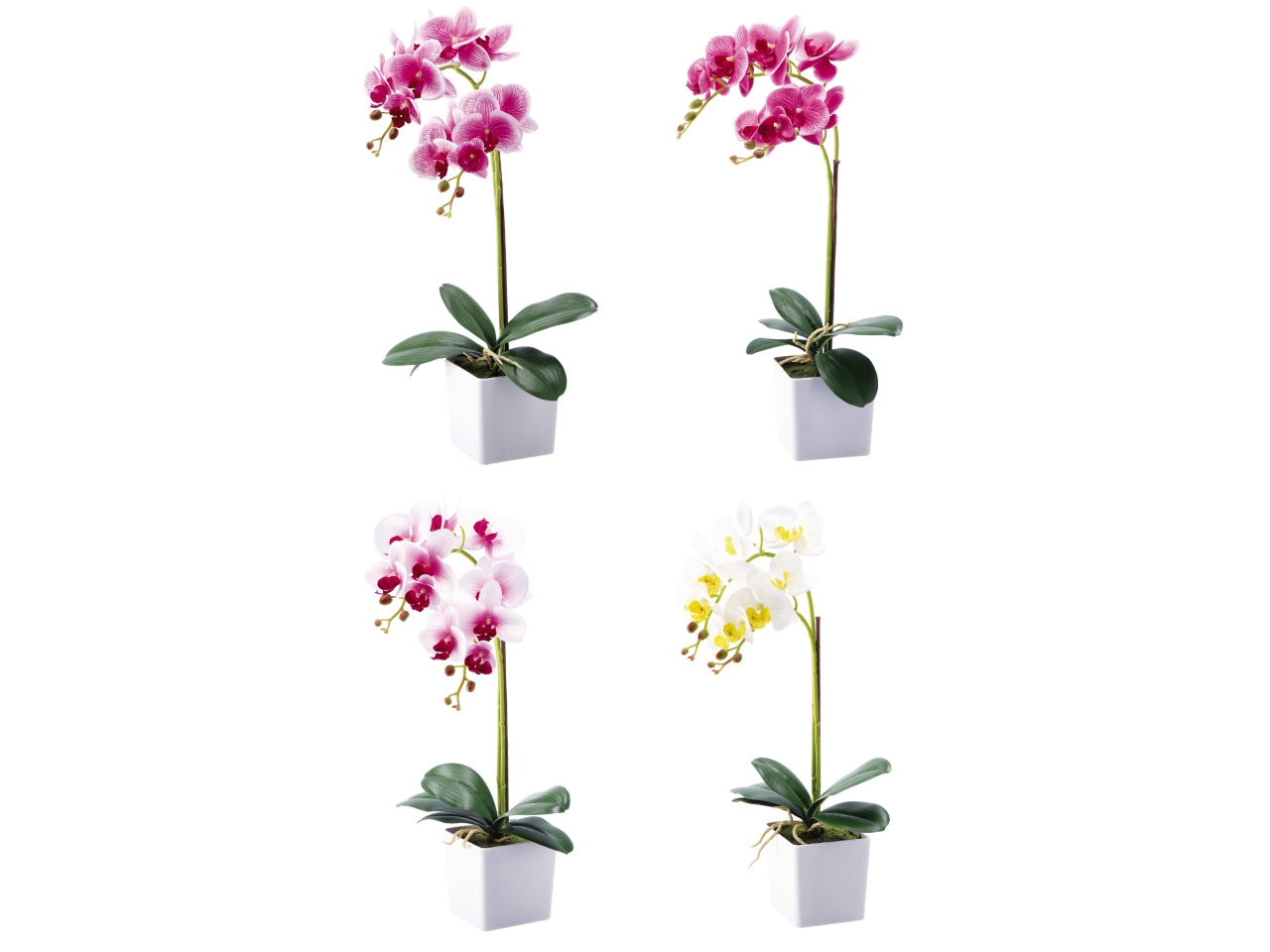 Orchidea con vaso d.10xh.52cm disponibile 4 colori