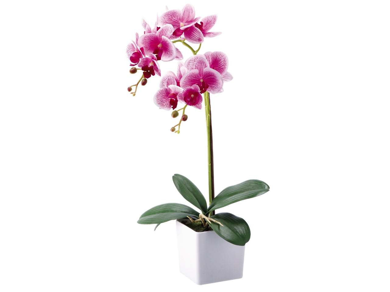 Orchidea con vaso d.10xh.52cm disponibile 4 colori