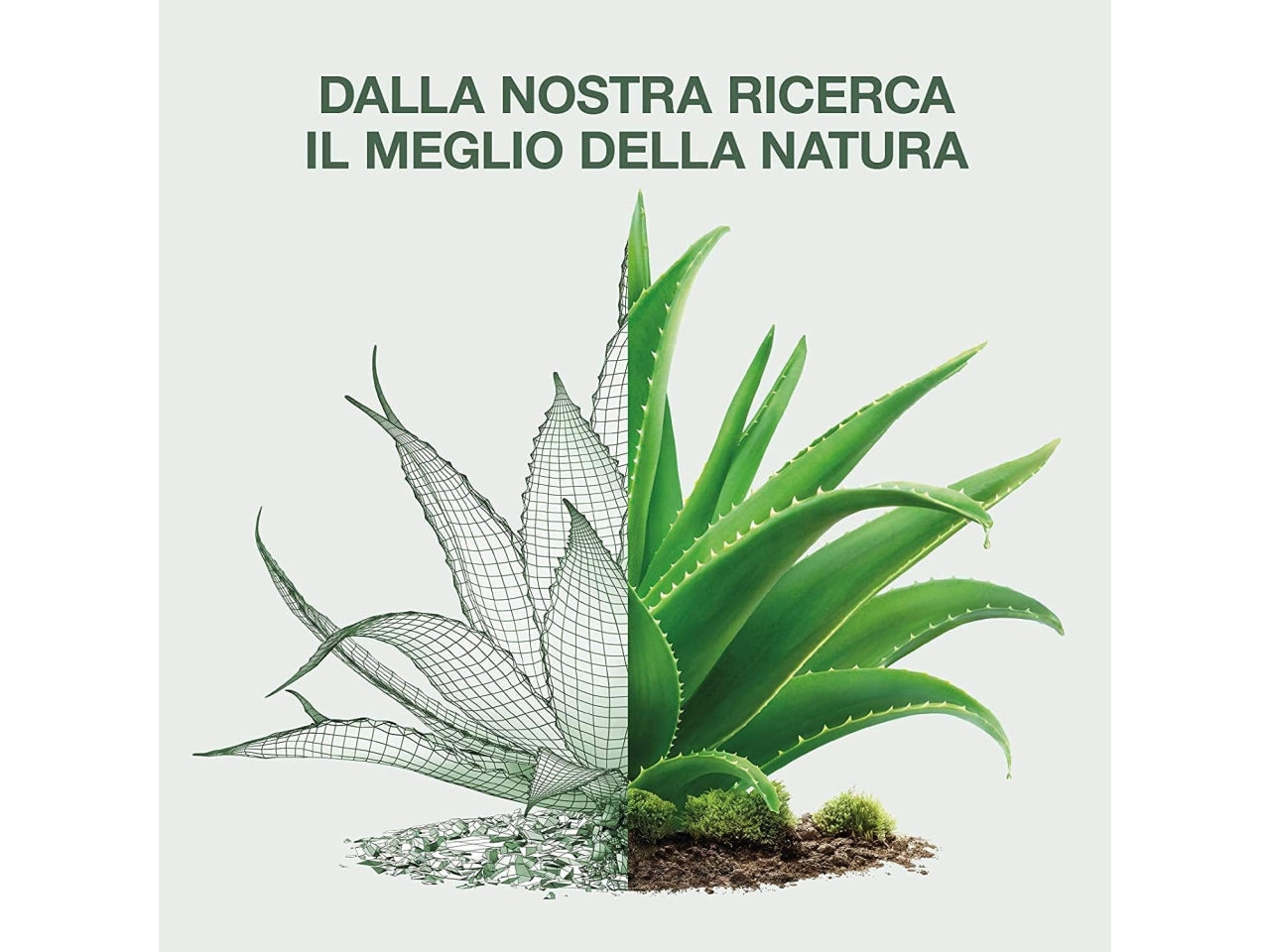 Omia balsamo aloe vera