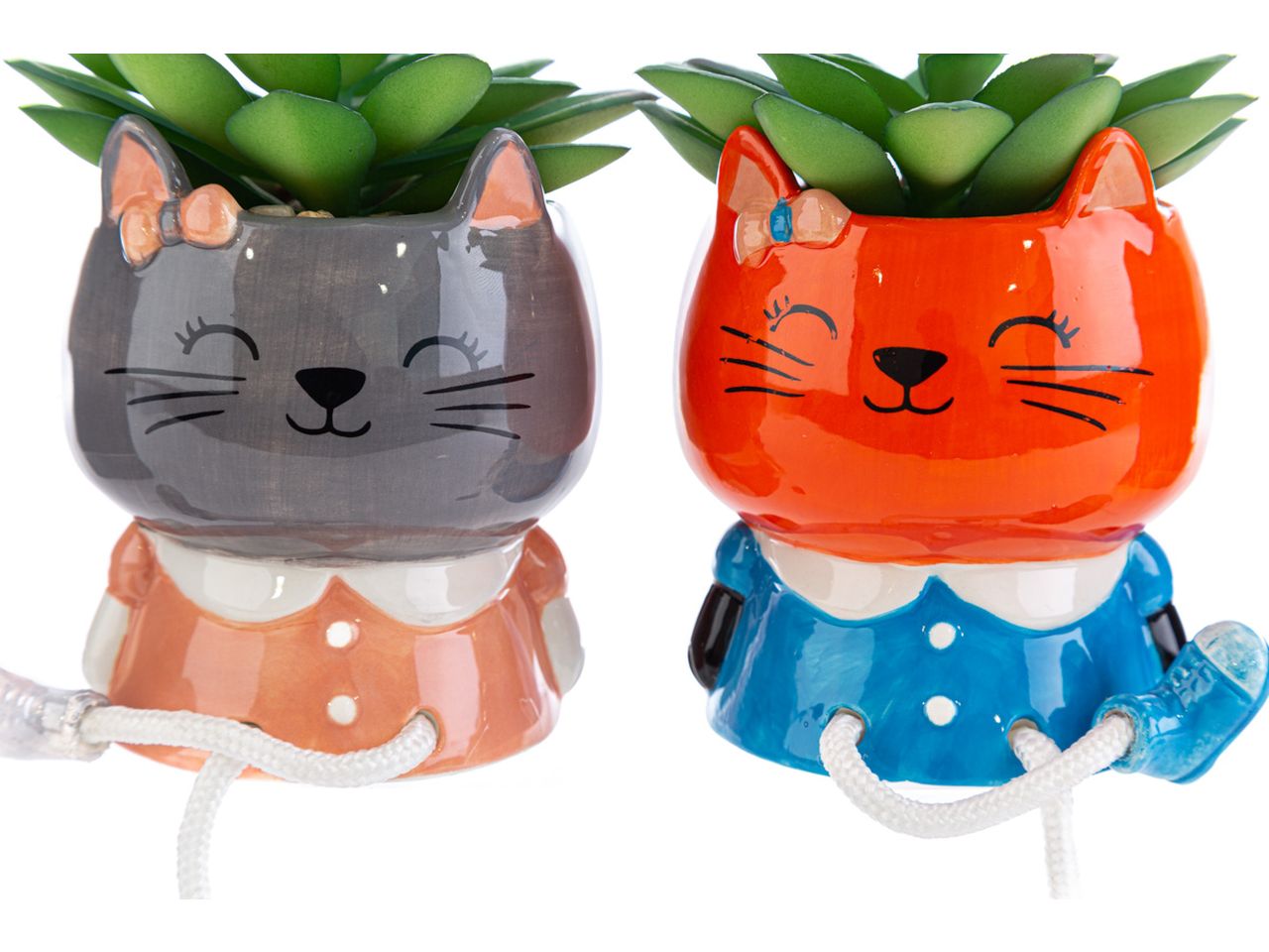 Piantina gattino in 2 assortimenti misura 11x9xh.12,5cm