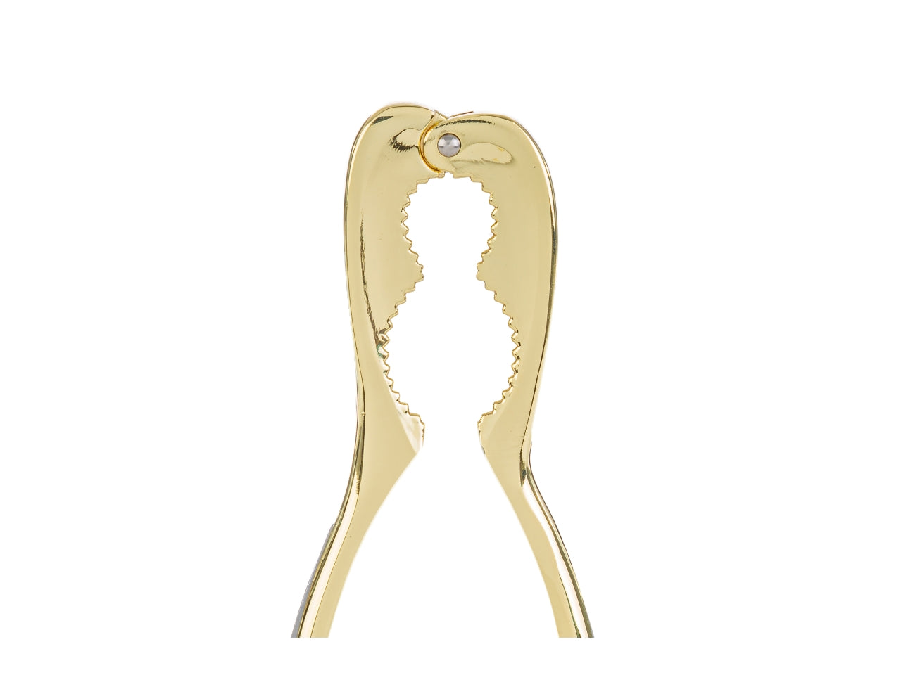 Schiaccianoci in metallo colore oro astuccio 16cm